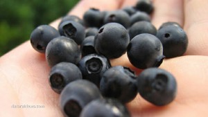 One cup of blueberries per day helps relieve high blood pressure and hardened arteries