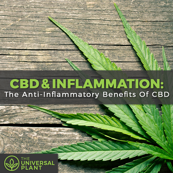 A Great CBD Information Can Give You A Wholesome Life 2