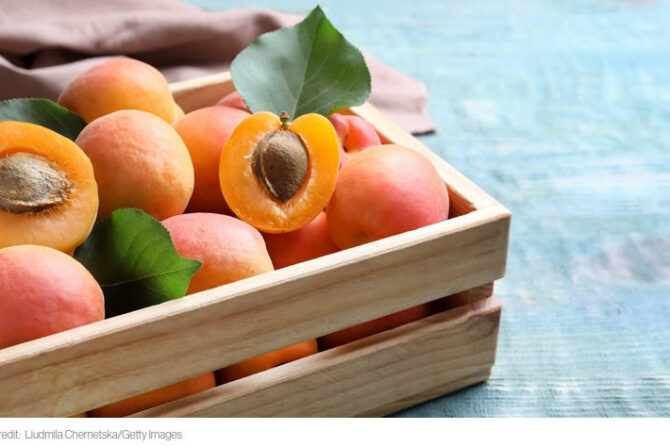 A CURE FOR CANCER? The Censored TRUTH About Apricot Seeds & Vitamin B17 Pharma Is Hiding