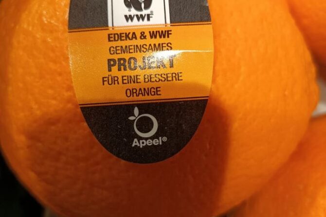 Beiß nicht gleich in jeden Apfel! Essbare Lebensmittel-Verpackung (Apeel) – harmlos oder ein weiterer Skandal?