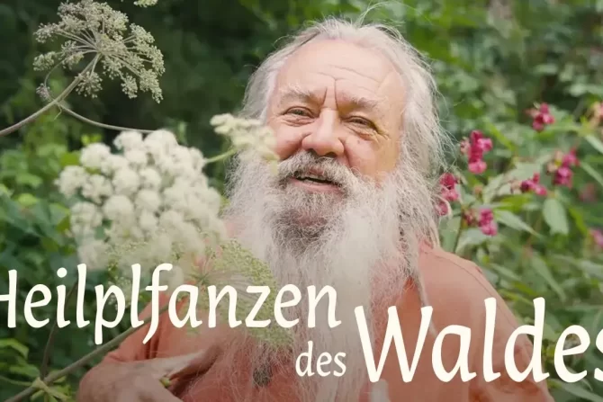 Heilpflanzen des Waldes (Video)