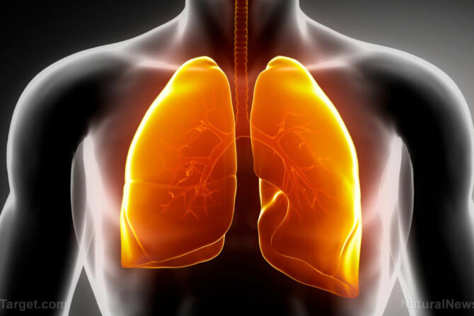 How to keep your lungs healthy and strong