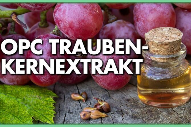 Das stärkste Antioxidans der Welt – OPC Traubenkernextrakt