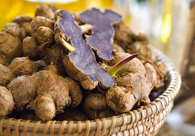 Thai black ginger found to delay arthritis progression and suppress inflammation