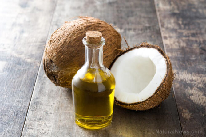 Study shows EXTRA VIRGIN COCONUT OIL can promote weight loss, reduce body fat and improve liver health