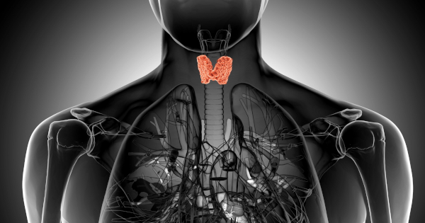 The Gluten-Free Effect: How Diet Impacts Thyroid Antibodies in Hashimoto’s