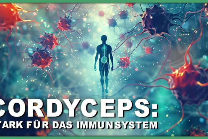 Der Heilpilz Cordyceps sinensis