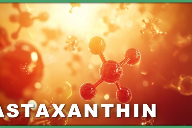 Astaxanthin – das rote Antioxidans