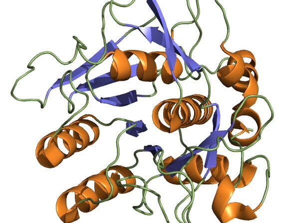 Nattokinase REVERSES Heart Disease–But Only If You Take Enough