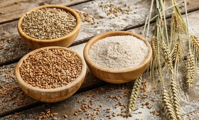 Getreide – gesund oder schädlich?