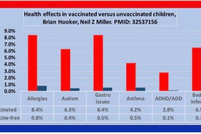 Analysis of health outcomes in vaccinated and unvaccinated children: Developmental delays, asthma, ear infections and gastrointestinal disorders