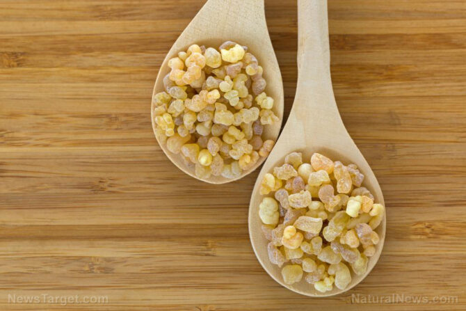 When modern pharmakeia fails, FRANKINCENSE offers powerful wound healing properties
